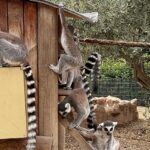 İzmir Doğal Yaşam Parkı’nda Davranış Zenginleştirme Atölyesi