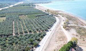 İznik’te Merkezden Kırsala Hizmet Ağı