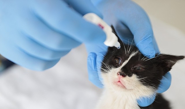 Konak, can dostlarının yanında