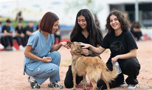 “Sahipsiz hayvanlara kötü muamele son bulsun”