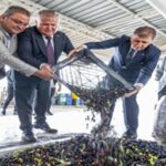 Sezonun ilk zeytinyağı Başkan Tugay’dan