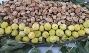 Türk kuru incir ihracatçılarından Avrupa Birliği’ne; “Kuru incirde ev ödevimizi yapıyoruz” mesajı