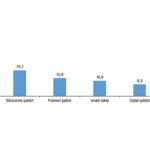 Türkiye Kadına Yönelik Şiddet Araştırması, 2024