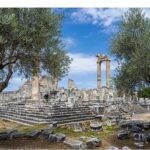 26 Kasım Dünya Zeytin Ağacı Günü’nde Didim Belediyesi’nden Anlamlı Mesaj