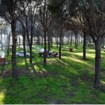 Altınova Mesire Alanı Hizmete Açıldı