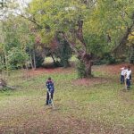 Darıca Millet Bahçesi’nde temizlik seferberliği