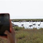 Doğa ve lezzet tutkunları bu turları çok sevecek