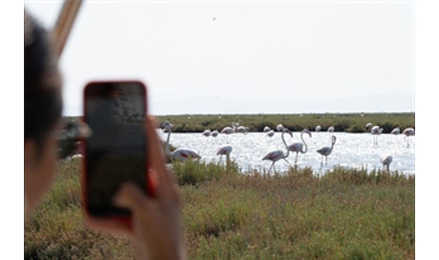 Doğa ve lezzet tutkunları bu turları çok sevecek