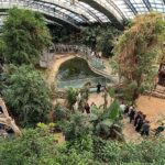 İzmir Doğal Yaşam Parkı’na ziyaretçi akını