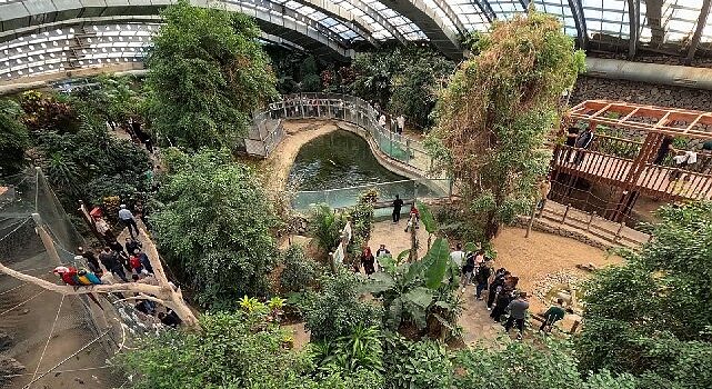 İzmir Doğal Yaşam Parkı’na ziyaretçi akını