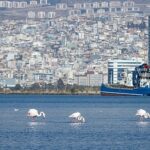 İzmir’in gelecek yarım asrı şekilleniyor