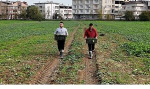 Osmangazi Belediyesi Doğal Üretimle Sofralara Sağlık Sunuyor