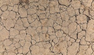 TEMA Vakfı: Toprak Yoksa Su, Su Yoksa Gıda Yok!