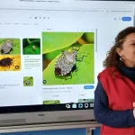 19 Mayıs ilçesinde “Okul Tarım El Ele” etkinliği yapıldı