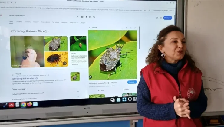 19 Mayıs ilçesinde “Okul Tarım El Ele” etkinliği yapıldı