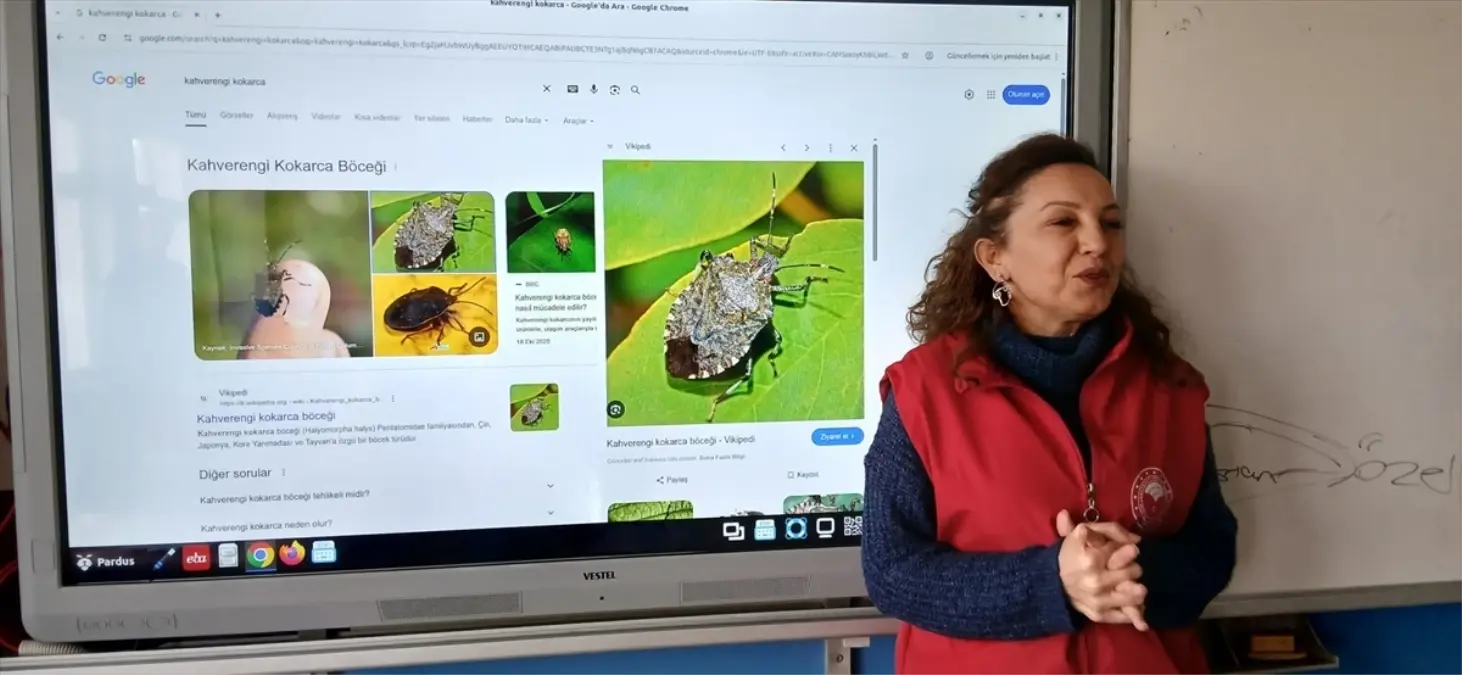 19 Mayıs ilçesinde “Okul Tarım El Ele” etkinliği yapıldı