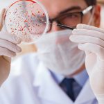 30 yıl sonra yeniden hortladı, Avrupa alarma geçti: Veba laboratuardan mı yayıldı?