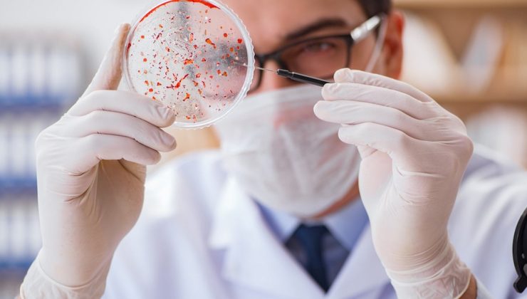 30 yıl sonra yeniden hortladı, Avrupa alarma geçti: Veba laboratuardan mı yayıldı?