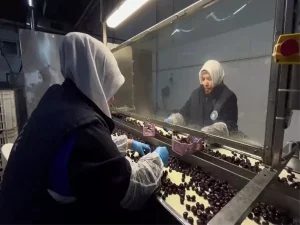 65 ülkeye ihraç edilen Türk zeytini, zeytinyağlı çikolata ve kozmetik ürünlerle de raflarda yer alacak