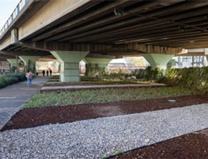 80 futbol sahası büyüklüğündeki alanda dönüşüm tamam