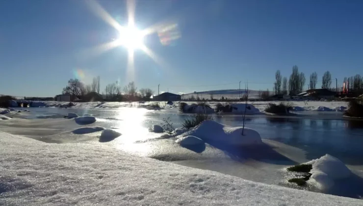 Ağrı’da tırın dorsesinde 2 bin 500 uyuşturucu hap ele geçirildi
