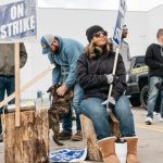 Alaska’da tüm zamanların sıcaklık rekoru