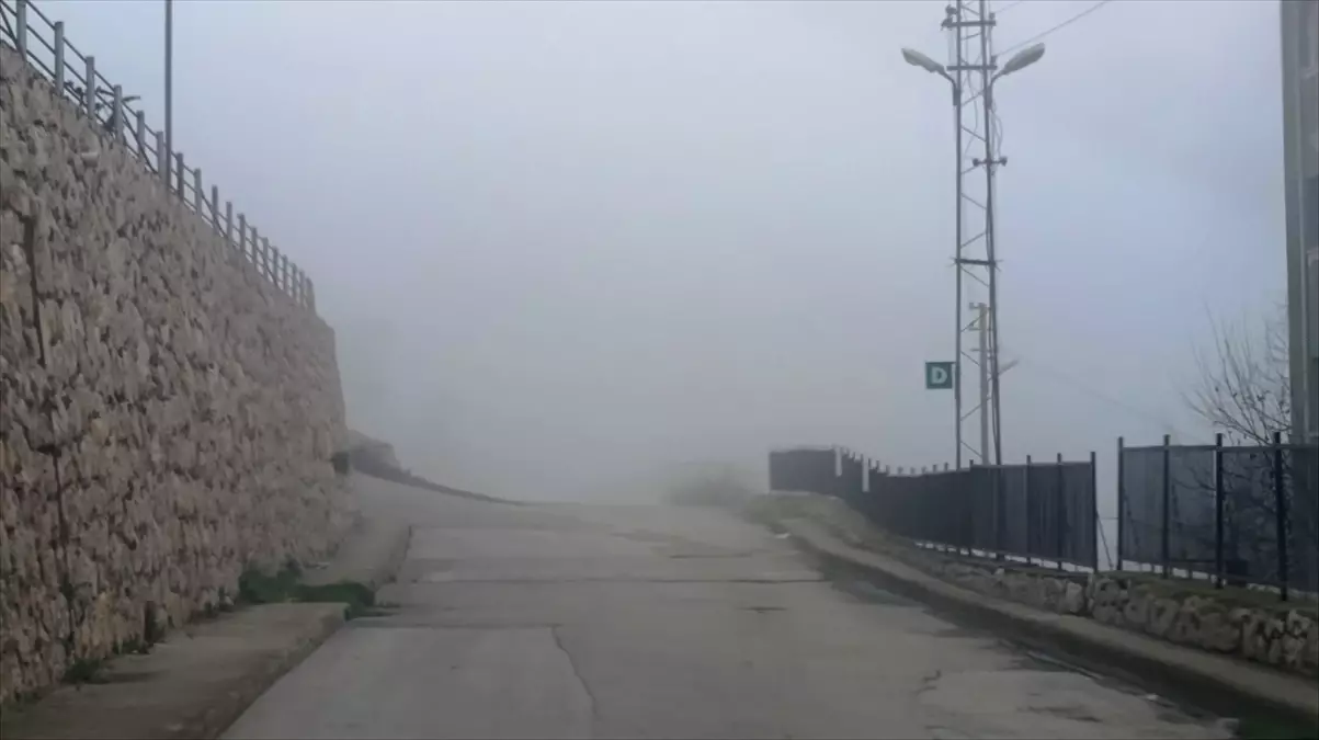 Amasya’da sis etkili oldu