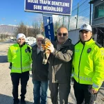 Amasya’da yaralı bulunan kızıl şahin tedavi altına alındı