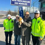 Amasya’da Yaralı Şahin Uygulama Noktasında Bulundu
