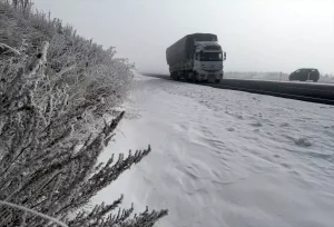 Ardahan’da sis etkili oluyor