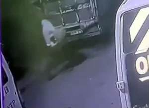 Avcılar’da 40 bin liralık elektrik ekipmanı hırsızlığı kamerada