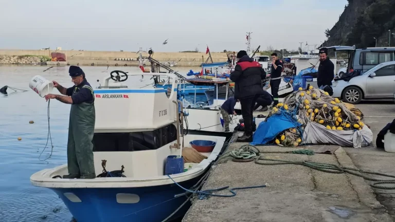 Balıkçılar, Karadeniz’de umduklarını bulamadı; hamsi dışında çeşit yok