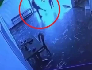 Belediyeye ait tesiste kediye tekmeli müdahale kamerada