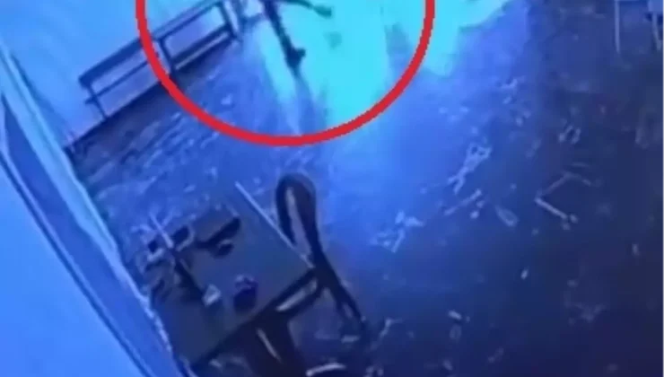 Belediyeye ait tesiste kediye tekmeli müdahale kamerada