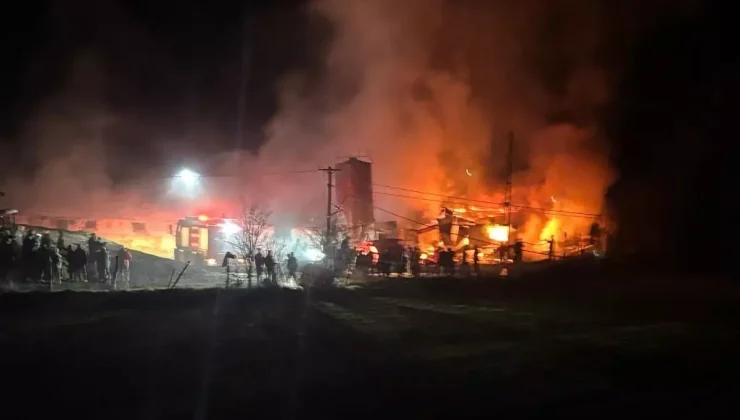 Bolu’da kümes yangını