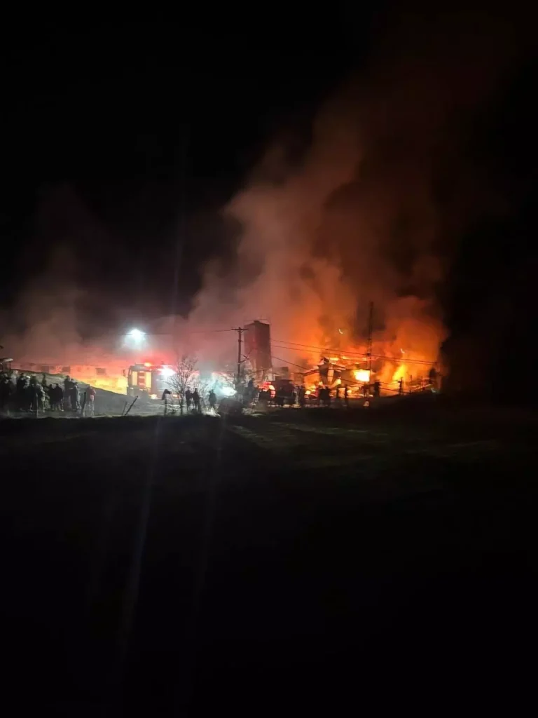 Bolu’da kümes yangını