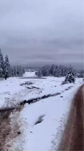Bolu’nun Gerede ilçesinde kar kalınlığı 10 santimetreye ulaştı