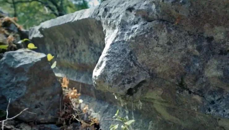 Büyük İskender’in fethedemediği antik kentte, 2 bin yıllık aslan başlı çörten kırıldı