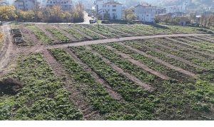 Büyükşehir’den Gölcük’e yeni mezarlık alanları