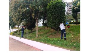 Büyükşehir’den yeşil alanlara özel bakım