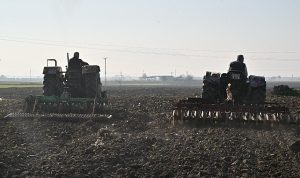 Büyükşehir’in Tohumları Sarıçalı Mahallesi’nin Merasını Yeşertecek