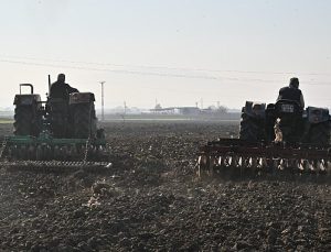 Büyükşehir’in Tohumları Sarıçalı Mahallesi’nin Merasını Yeşertecek