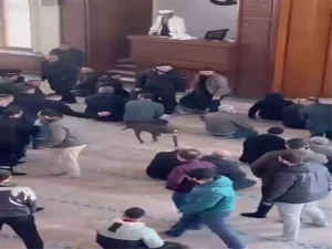 Camiye giren pitbullun sahibine adli ve idari işlem yapıldı