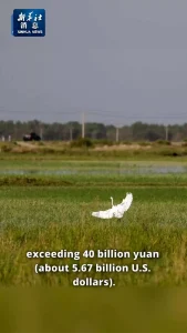 Çin’in Xinjiang Bölgesinde Su Koruma Projelerinin İnşasına 5,6 Milyar Dolar Yatırım Yapıldı