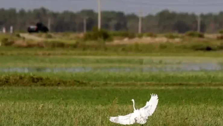 Çin’in Xinjiang Bölgesinde Su Koruma Projelerinin İnşasına 5,6 Milyar Dolar Yatırım Yapıldı