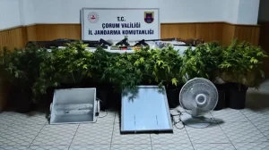 Çorum’da uyuşturucu bitki yetiştiren 4 kişi yakalandı