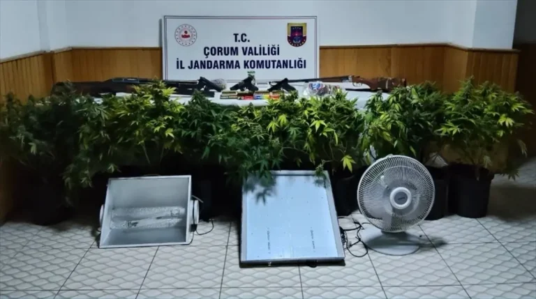 Çorum’da uyuşturucu bitki yetiştiren 4 kişi yakalandı