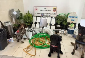 Düzce’de evinin çatı arasına kurduğu düzenekle uyuşturucu bitki yetiştiren şüpheli yakalandı