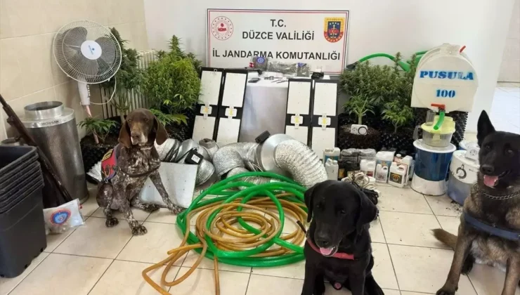 Düzce’de evinin çatı arasına kurduğu düzenekle uyuşturucu bitki yetiştiren şüpheli yakalandı