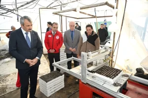 Edirne Valisi Sezer üreticileri ziyaret etti